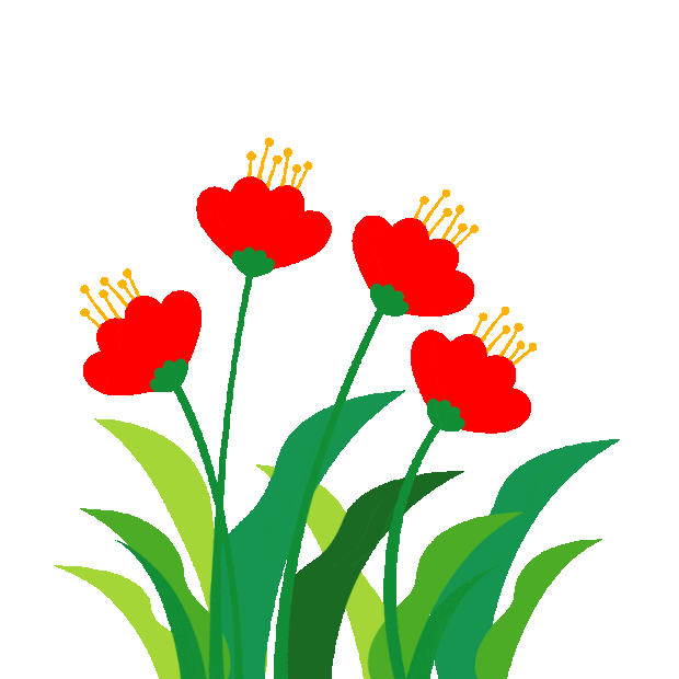 红色花朵花植物装饰gif图素材