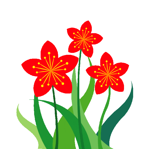 花花朵红色植物装饰gif图素材