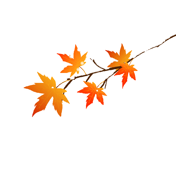 冬天冬季枫叶树枝下雪雪花飘落gif图素材