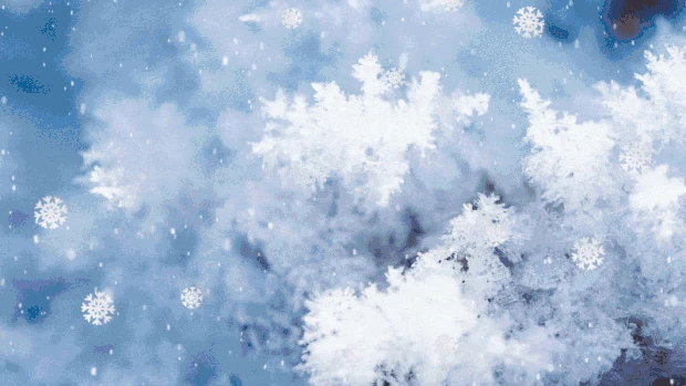 冬天霜花雪花浪漫视频背景唯美蓝色gif图素材