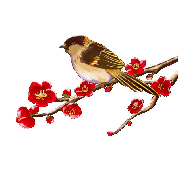 鸟踩红梅腊梅冬季冬天树枝gif图素材