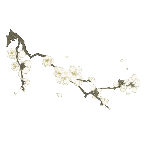 白色梅花飘落梅枝国潮花朵花gif图素材