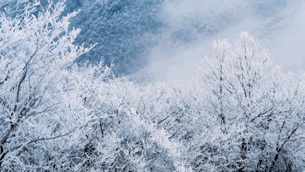 航拍山林雪景冬天冬季实拍视频背景gif图素材
