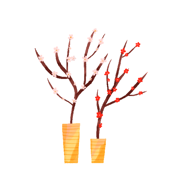 梅花树花朵花盆栽植物gif图素材