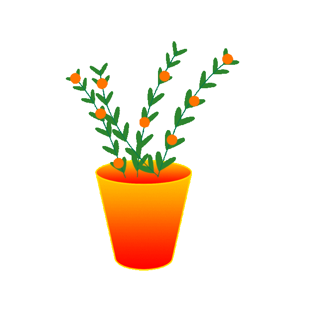 植物橘子树盆栽gif图素材