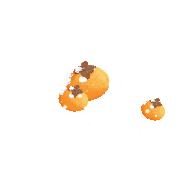 节气小寒标题gif图素材