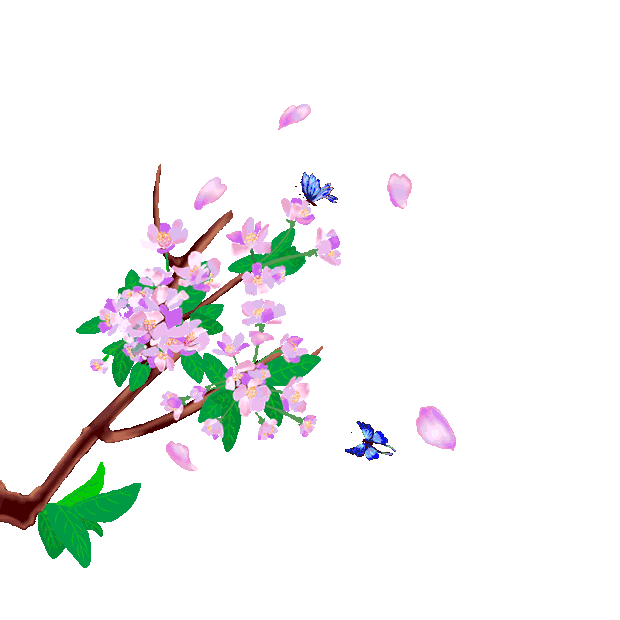春天立春紫色树枝花枝桃花唯美gif图素材