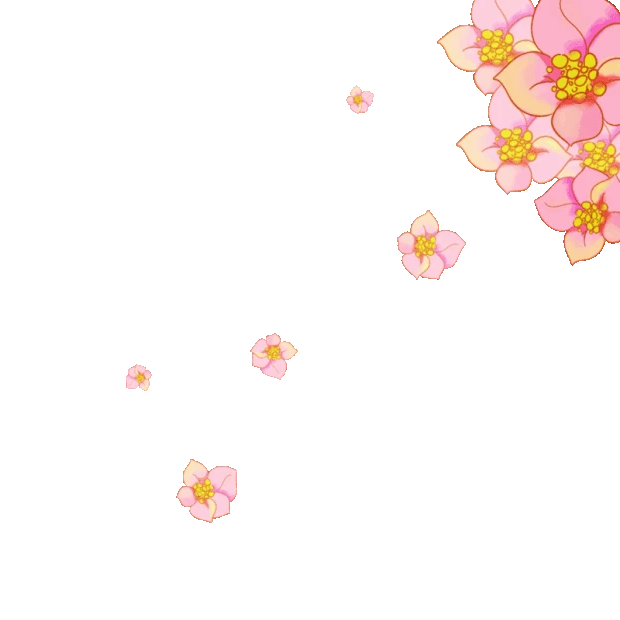 春天春季植物空中飘落的花朵小清新粉色gif图素材
