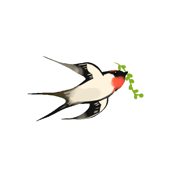 春天飞翔的燕子动物彩色gif图素材