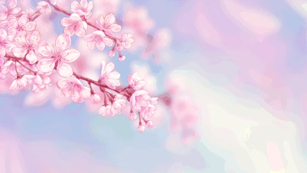 春天樱花花朵花树枝风中摇摆粉色视频背景gif图素材