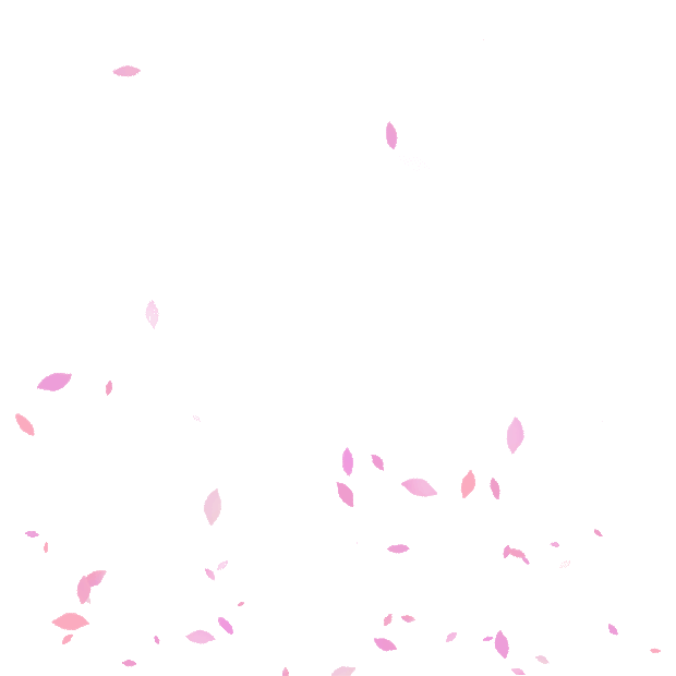 春天粉色樱花花瓣漂浮装饰浪漫gif图素材