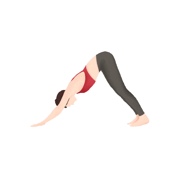 女生健身瑜伽锻炼减肥运动gif图素材
