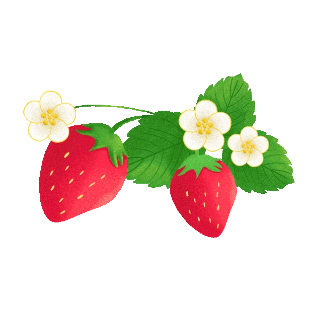 春天春季草莓叶子水果红色gif图素材