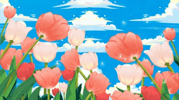 春天郁金香花海唯美视频背景壁纸花朵花gif图素材