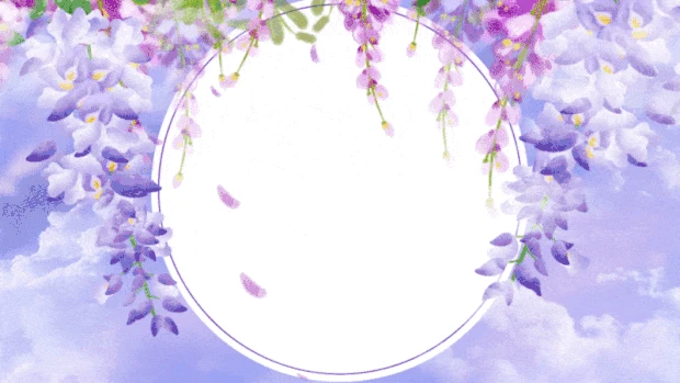 紫藤花植物花朵藤蔓文本框清新唯美浪漫紫色视频背景gif图素材