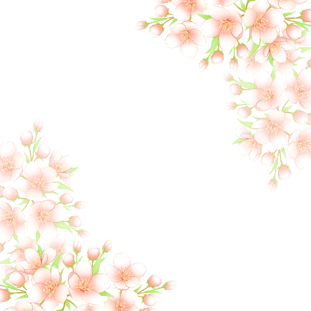 淡雅小清新樱花花朵边框gif图素材