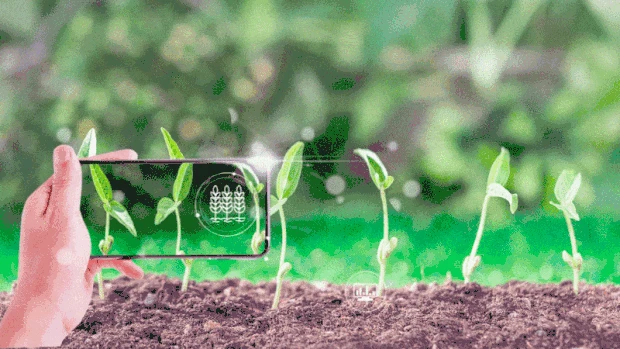 智慧农业科技土壤植物绿色视频背景gif图素材