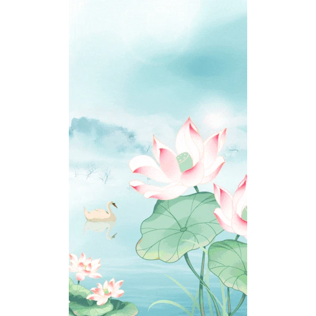 夏季夏天河塘荷花中国风竖版视频背景海报动图gif