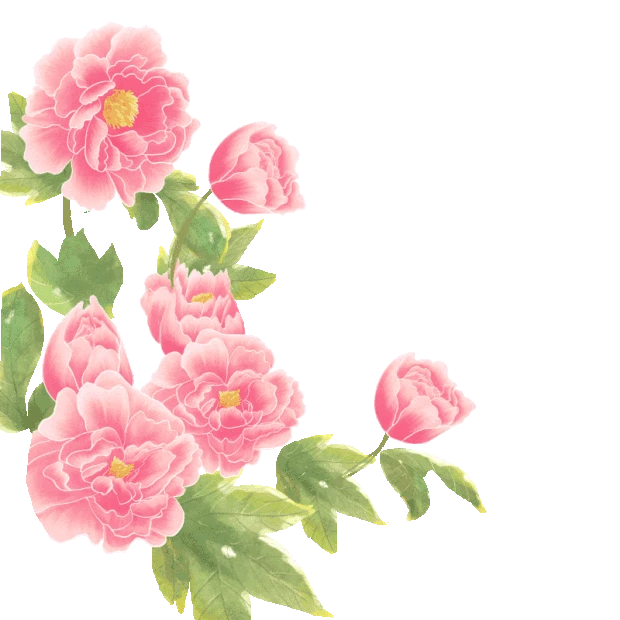 清新美丽的粉红色牡丹花朵花gif图素材