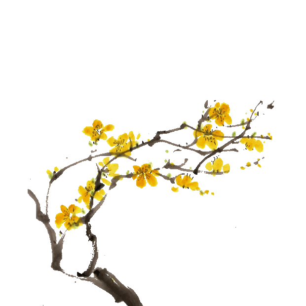 黄色的花朵中国风腊梅水墨水墨gif图素材