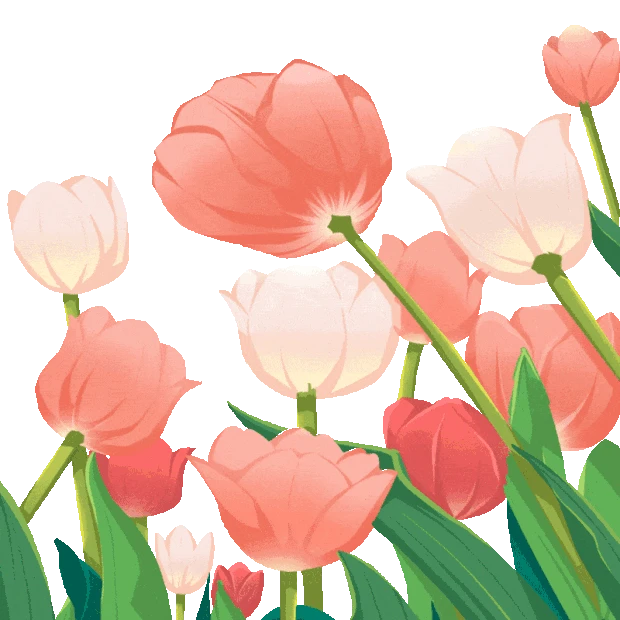 粉色郁金香花海花朵简约gif图素材